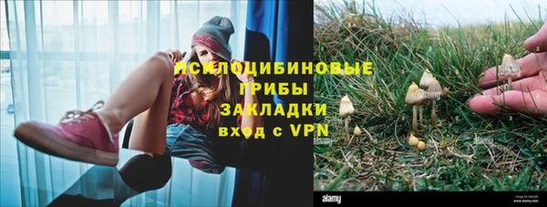 Альфа ПВП Алексин