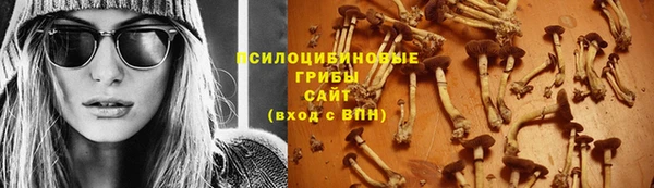 a pvp Абинск